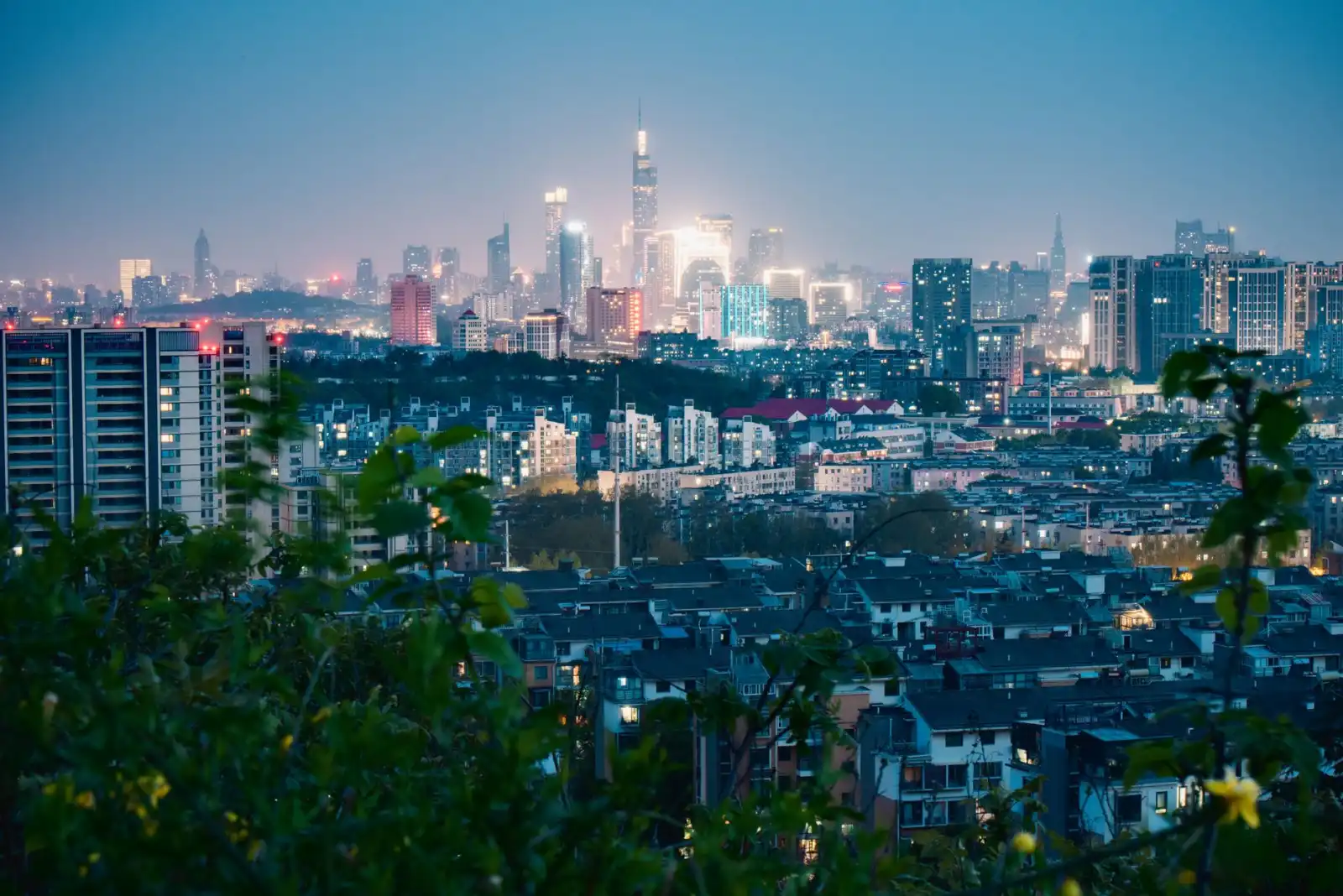 条码秤与扫码设备在生鲜称重场景中的协同应用